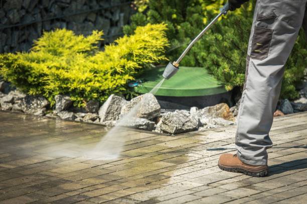 Best Soft Washing  in Coral Gables, FL